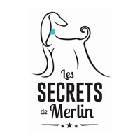 Les secrets de Merlin